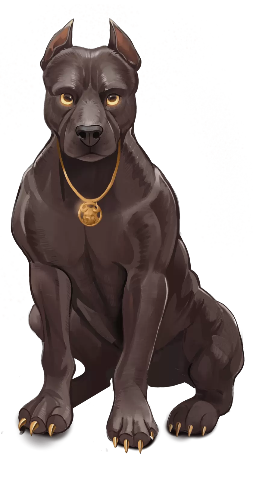 О компании AlfaBulls