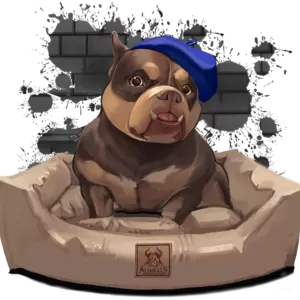 Лежанки и матрасы