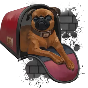 Переноски и сумки