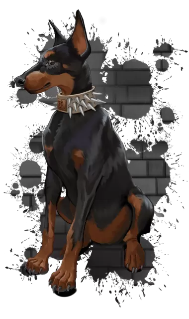 Ошейники и поводки