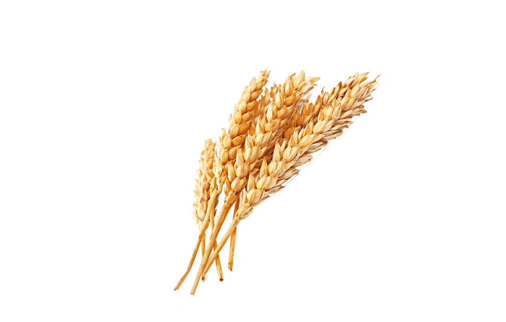 Полезные углеводы