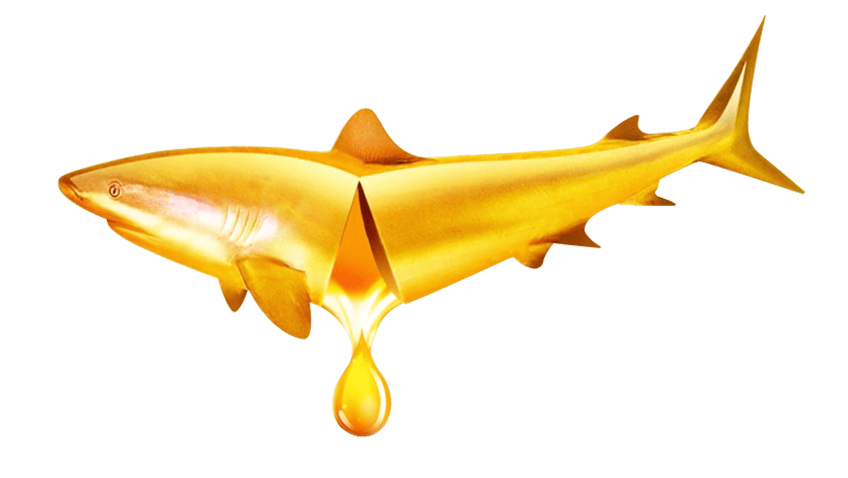 Здоровье кожи и шерсти