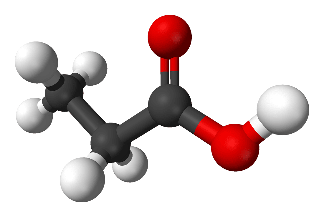 Иммунная поддержка