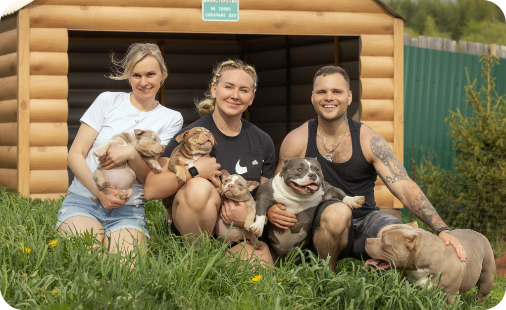 Питомник AlfaBulls