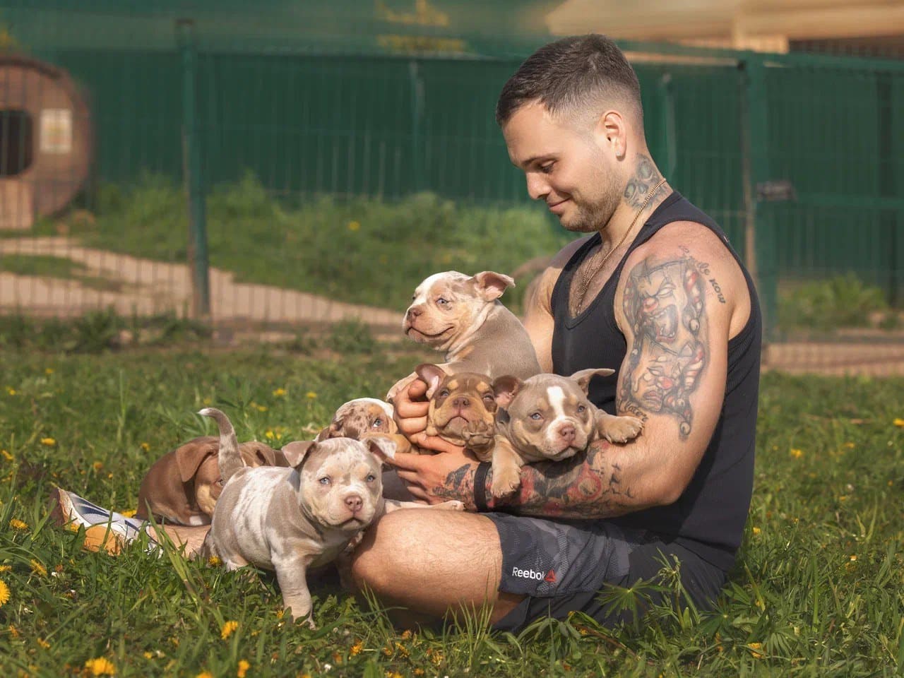 Воспитание собак