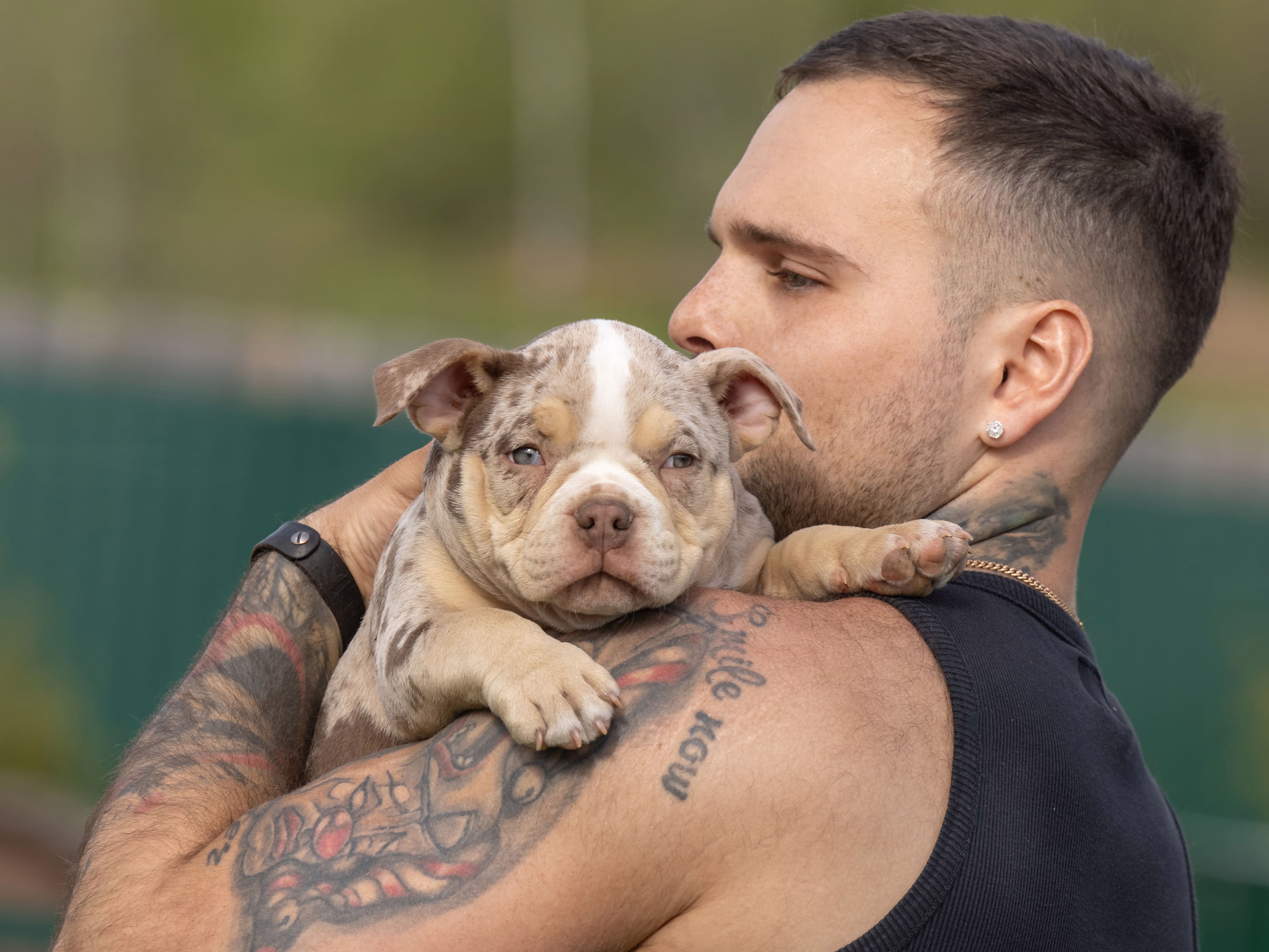 Щенки питомника