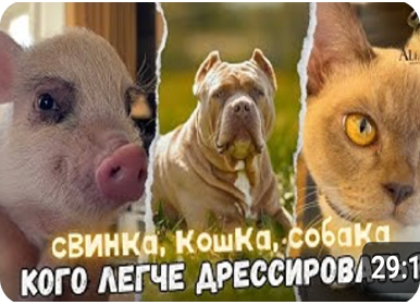 Видео с YouTube