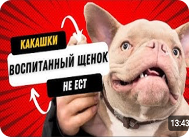 Видео с YouTube