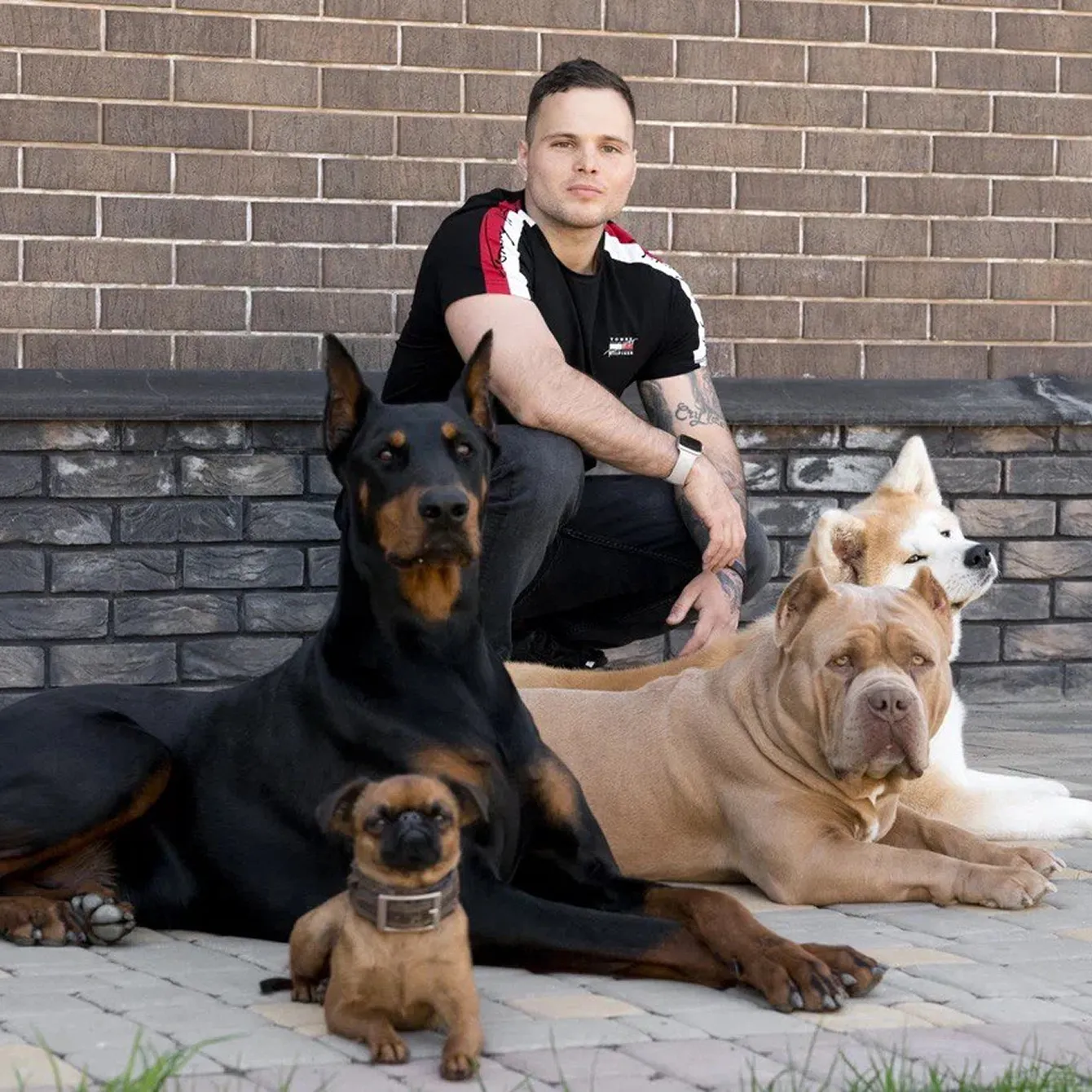 🐶 Как научить щенка дополнительным командам: апорт, голос, дай лапу, ждать и можно