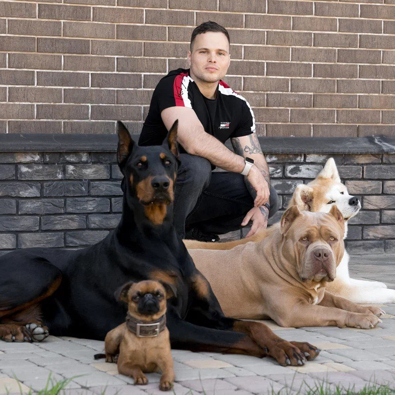 🐶 Как научить щенка дополнительным командам: апорт, голос, дай лапу, ждать и можно