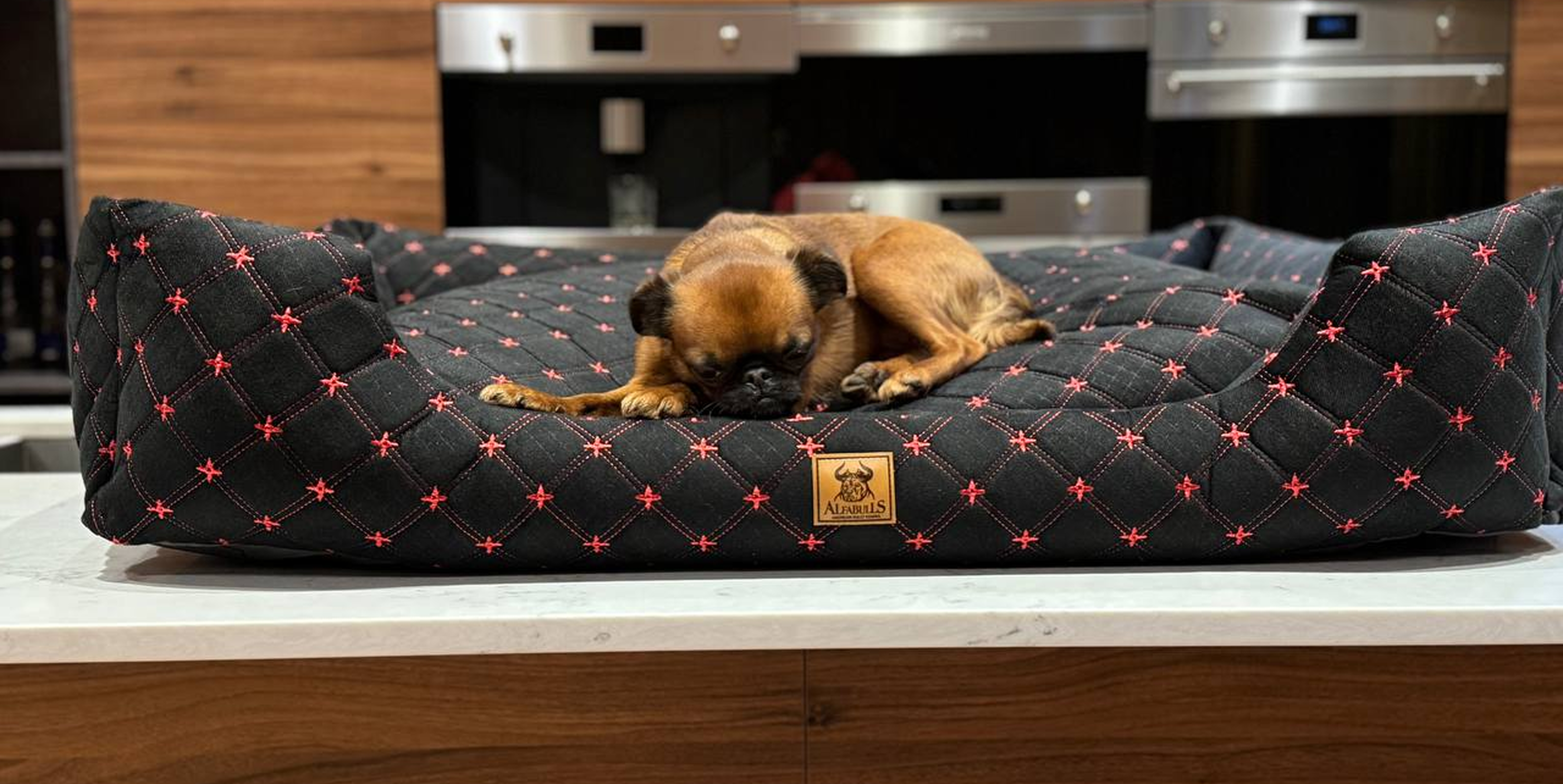 Alfabulls: идеальная лежанка для вашего питомца
