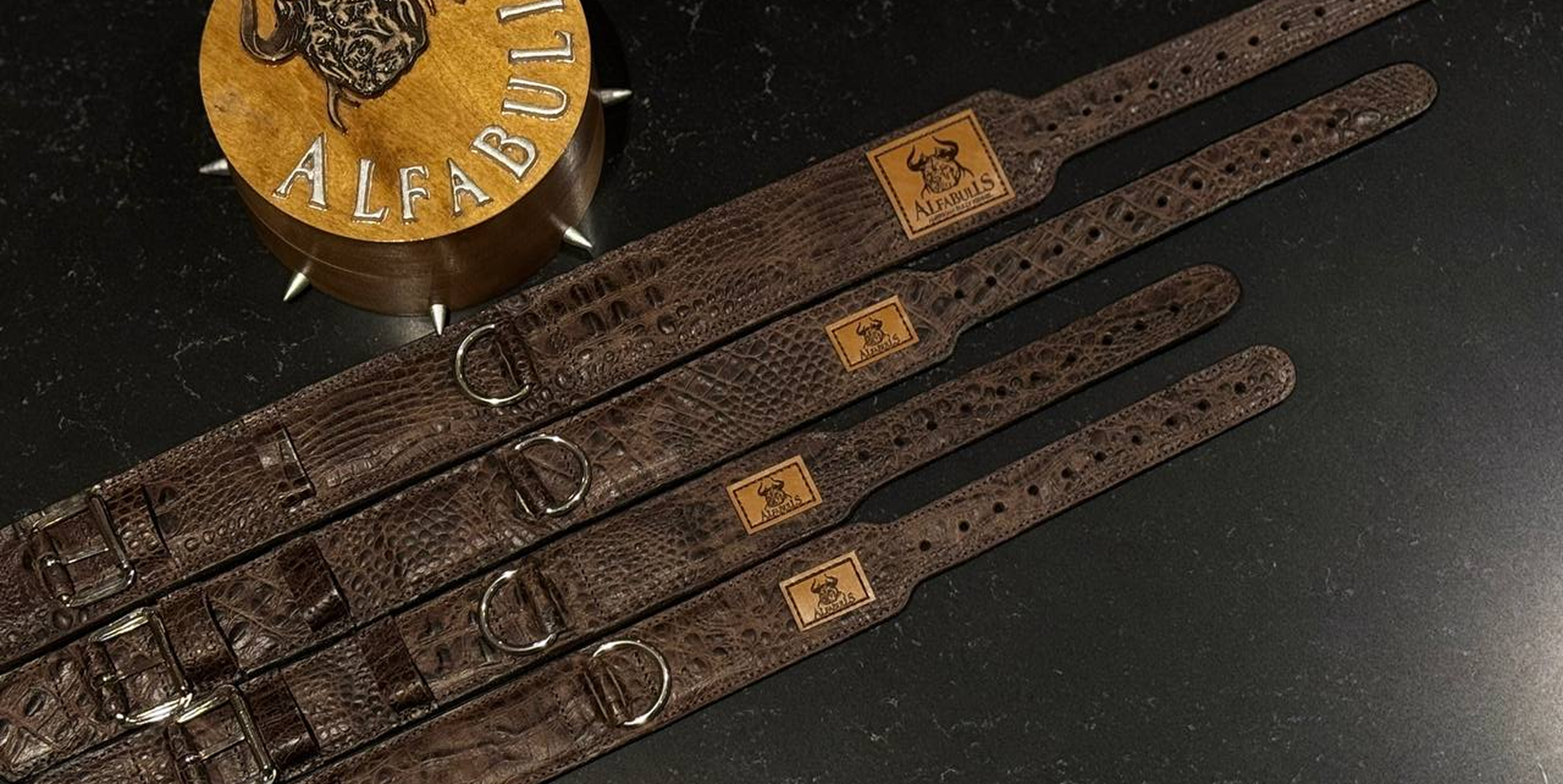 🐕 Как выбрать ошейник для щенка — советы от AlfaBulls