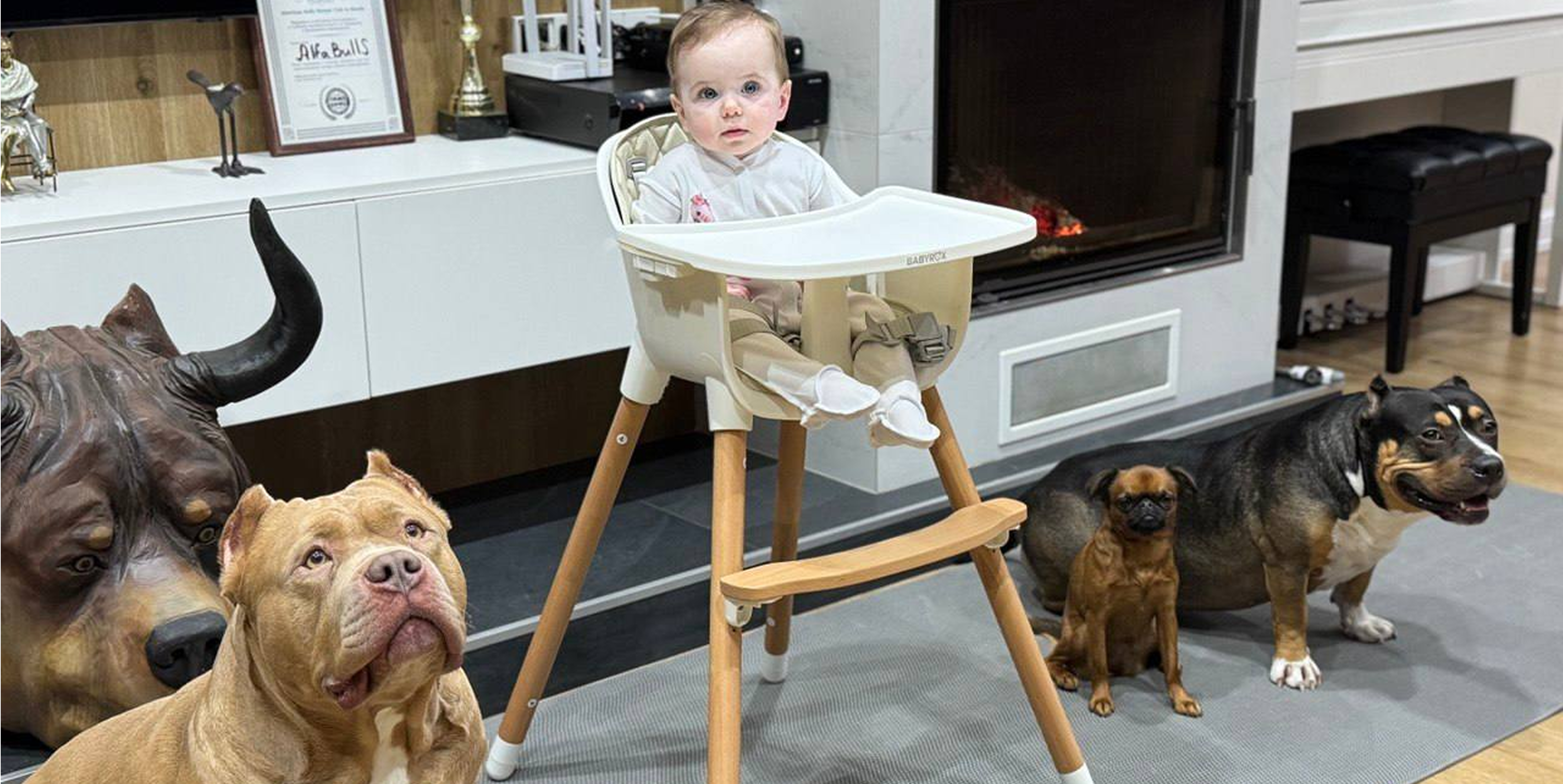 Собака и дети: как построить безопасные отношения