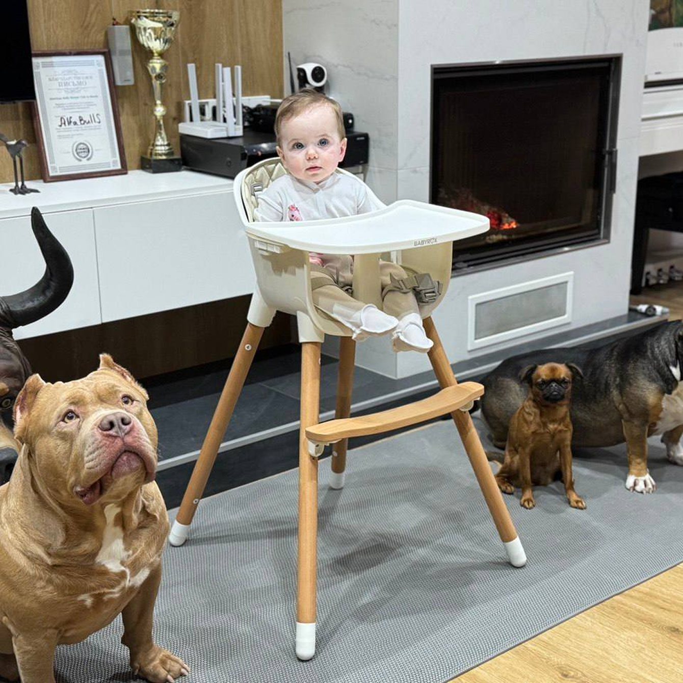 Собака и дети: как построить безопасные отношения