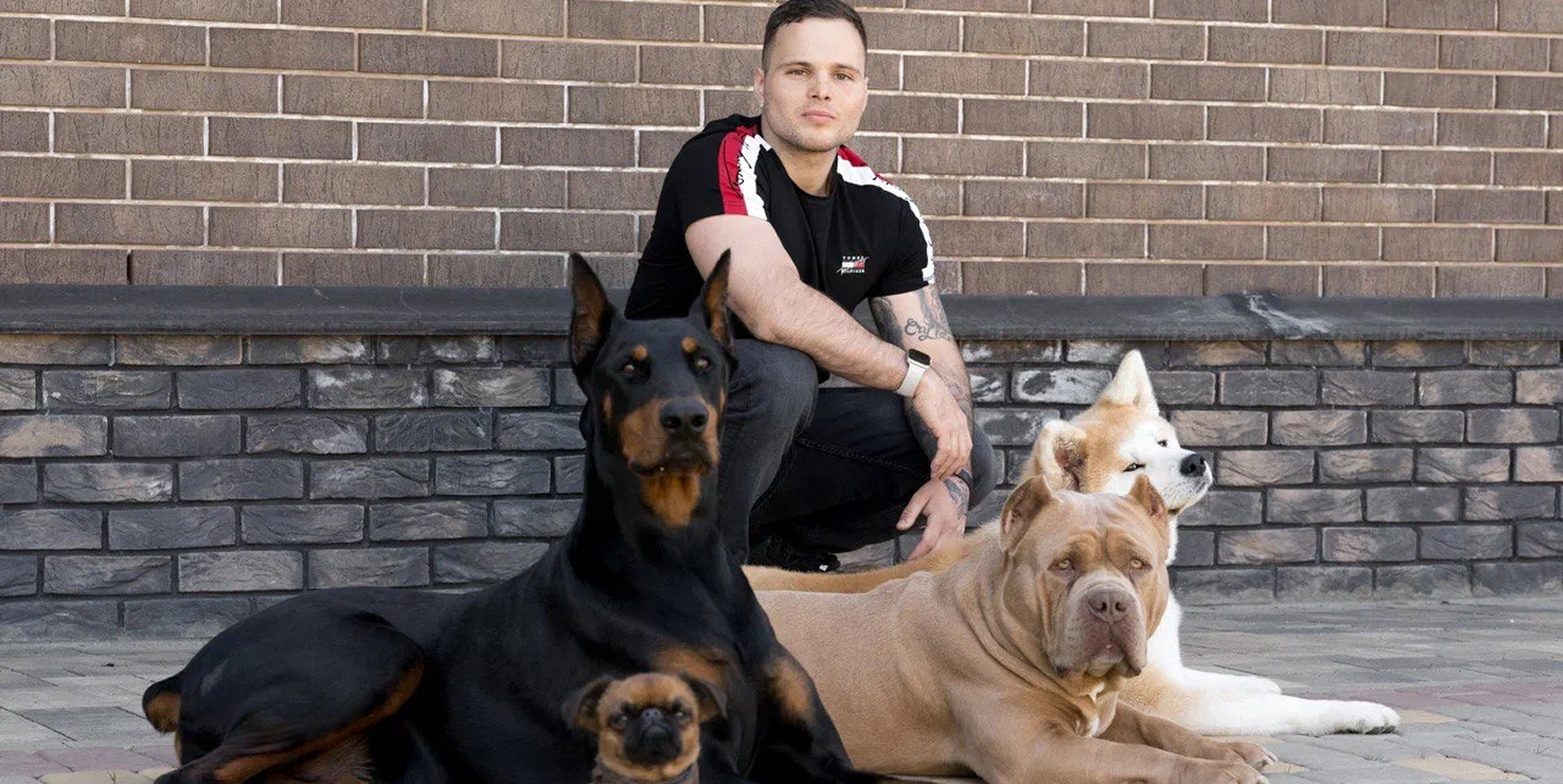 🐶 Как научить щенка дополнительным командам: апорт, голос, дай лапу, ждать и можно