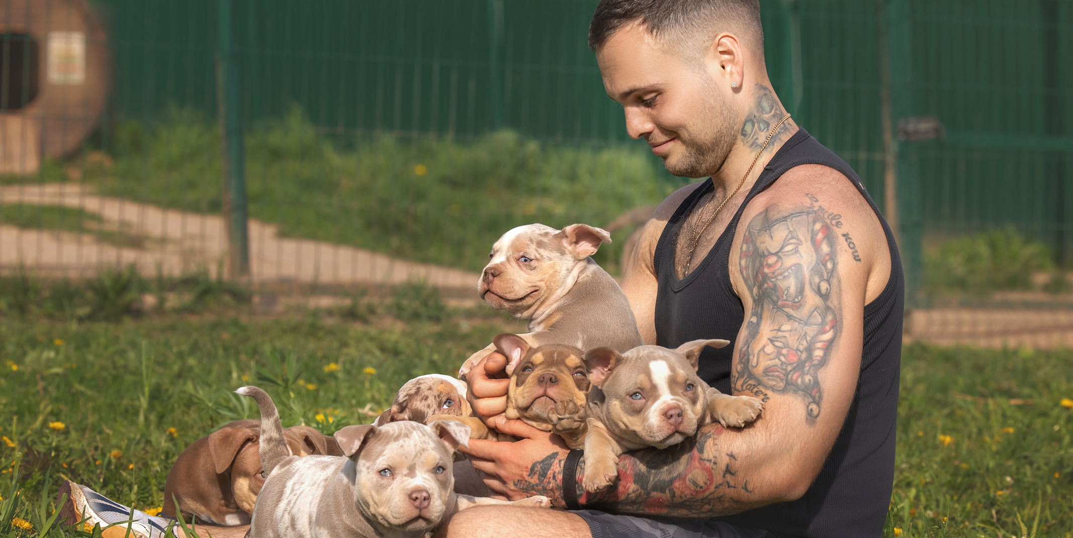 🧬 Аллергии у американских булли: как распознать и помочь