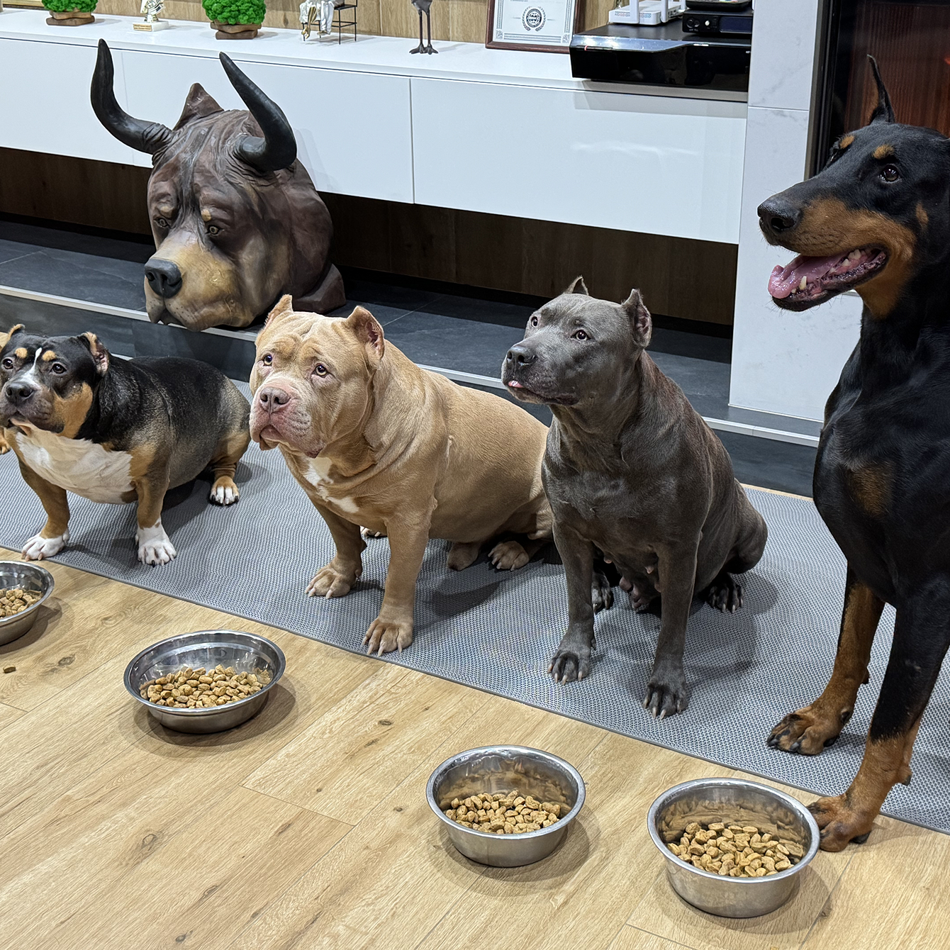 Alfabulls Monoprotein — когда важен каждый ингредиент