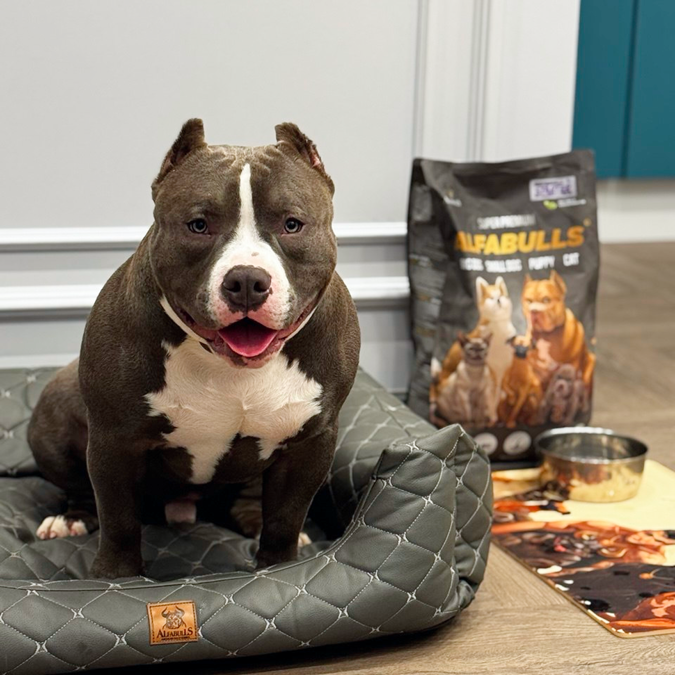 Почему щенок не пьет: разбор причин и что делать