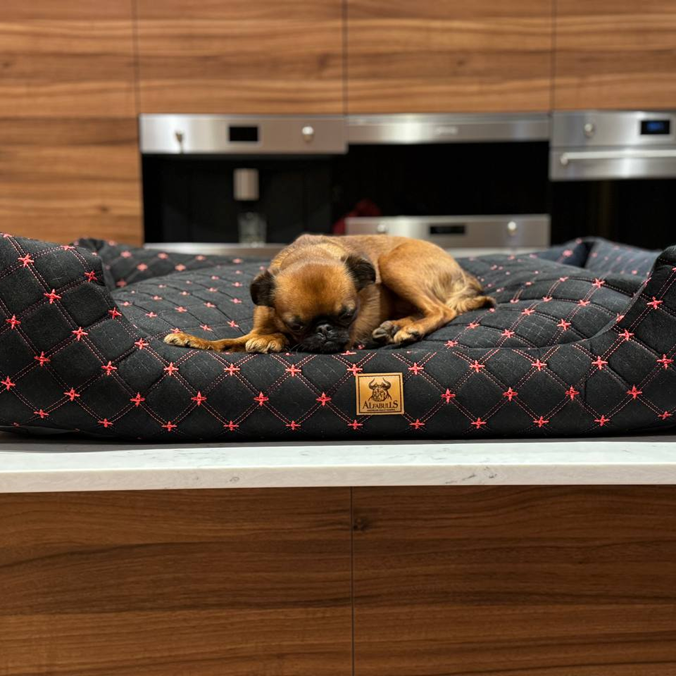 Alfabulls: идеальная лежанка для вашего питомца