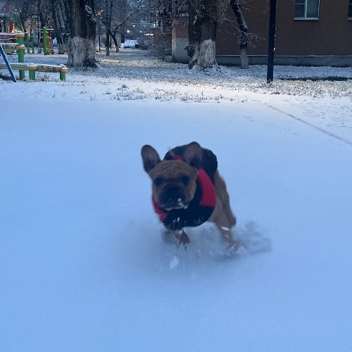 Аватар клиента