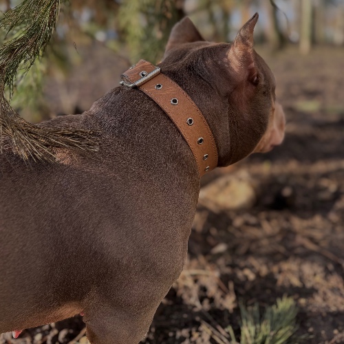 Аватар клиента