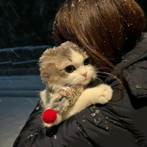 Аватар