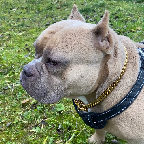 Аватар клиента