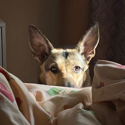 Аватар клиента