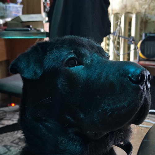 Аватар клиента