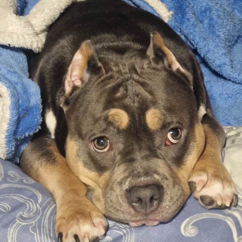 Аватар клиента