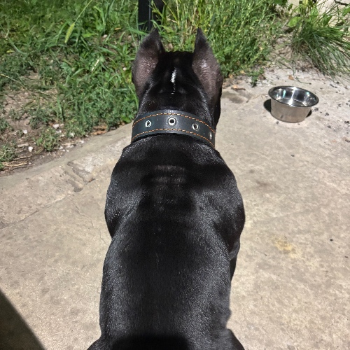 Аватар клиента