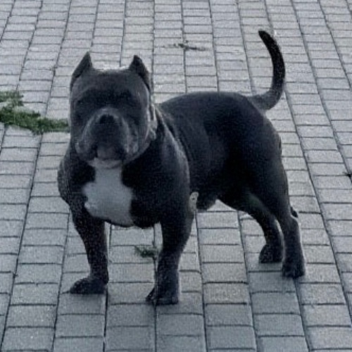 Аватар клиента