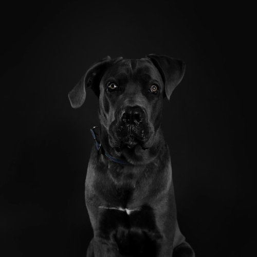 Аватар клиента