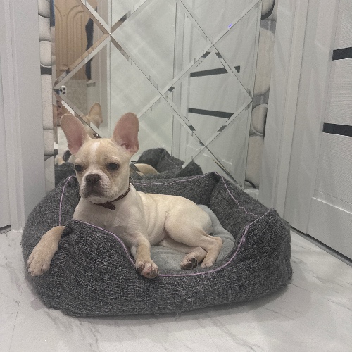 Аватар клиента