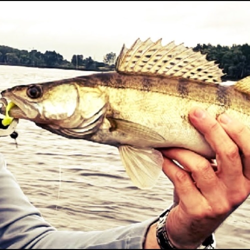 Аватар клиента