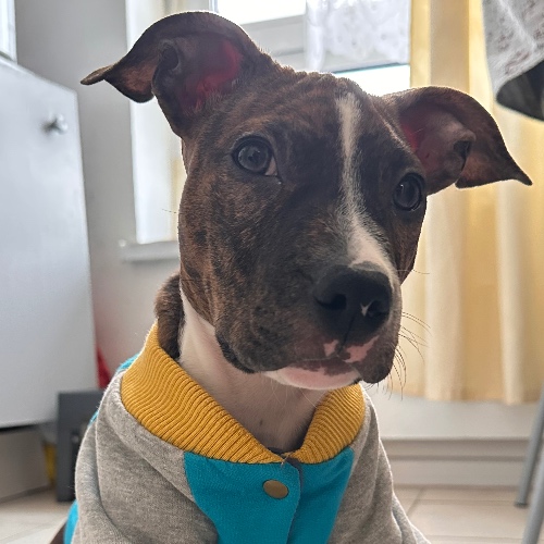 Аватар клиента