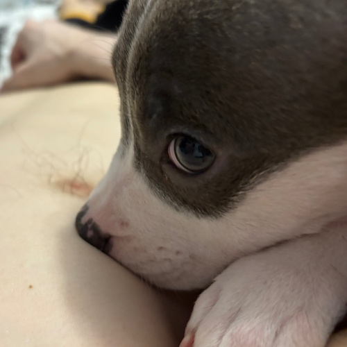 Аватар клиента