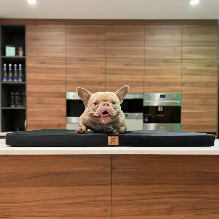 Матрас для животных "Оникс" AlfaBulls