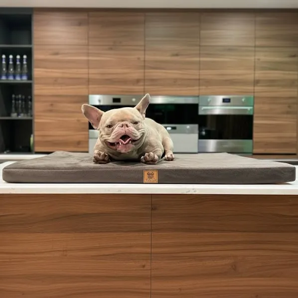 Матрас для животных "Конкорд" AlfaBulls