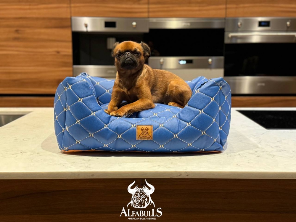 Лежанка для животных "ЭкоБлю" AlfaBulls