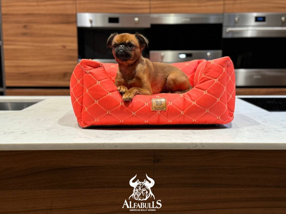 Лежанка для животных "ЭкоРед" AlfaBulls