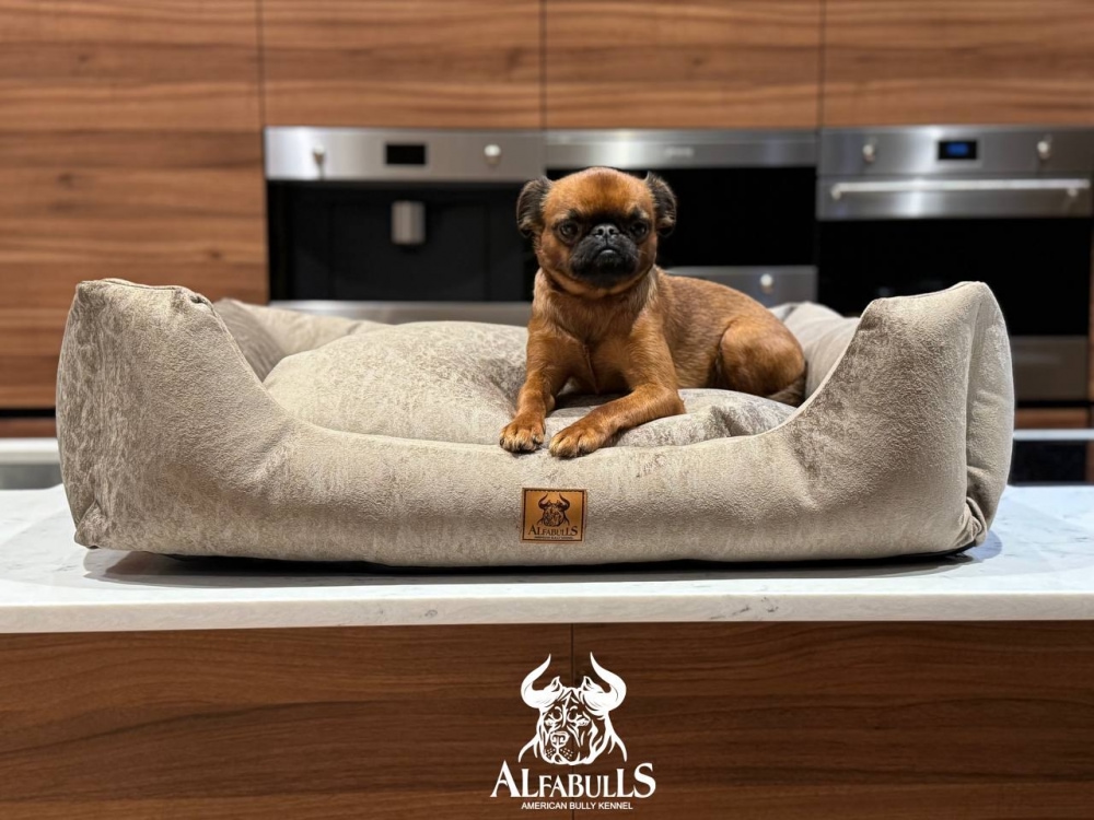 Лежанка для животных "Атриум" AlfaBulls