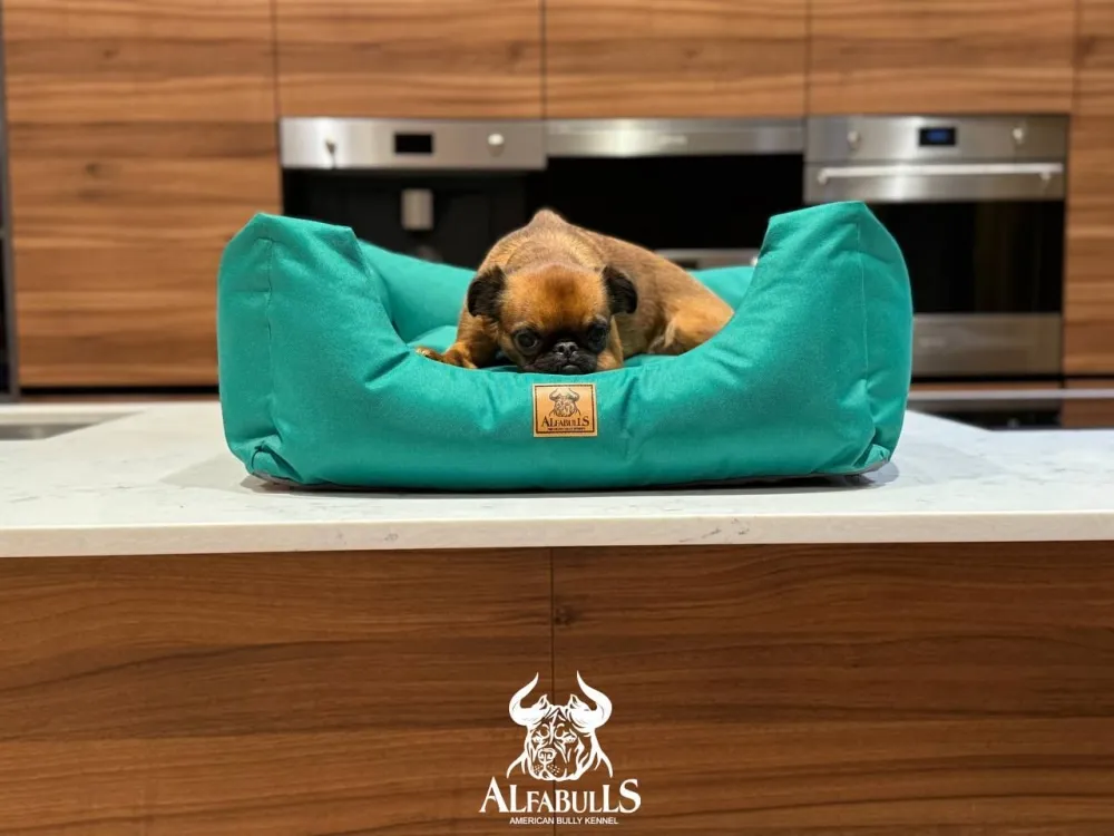 Лежанка для животных "Мате" AlfaBulls