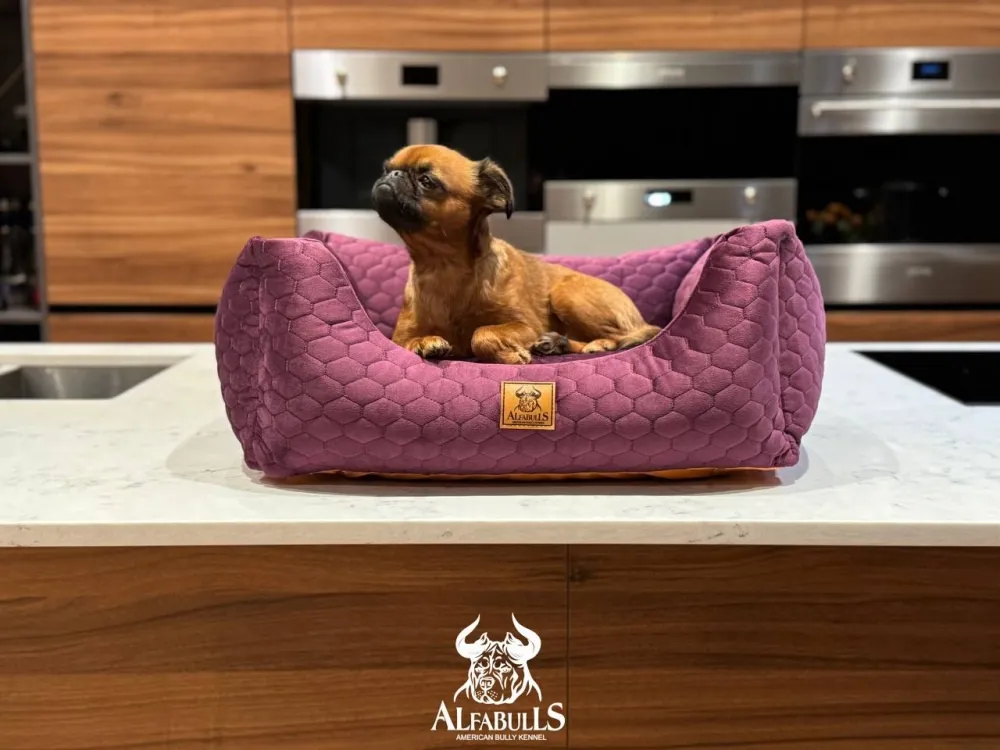 Лежанка для животных "Черри" AlfaBulls