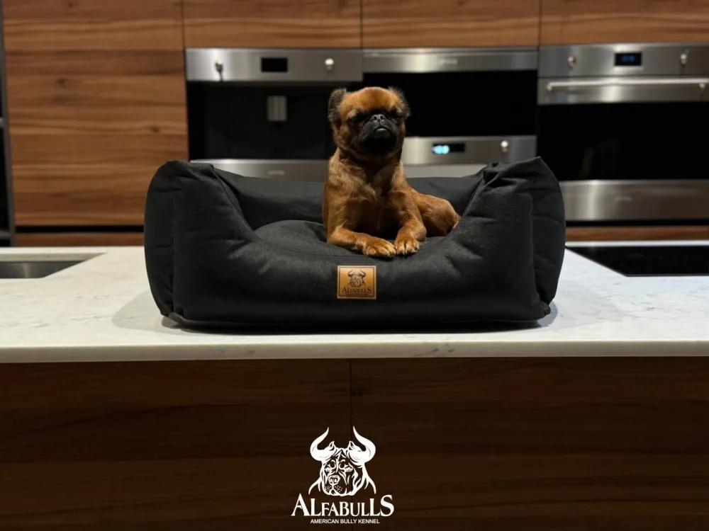 Лежанка для животных "Оникс" AlfaBulls