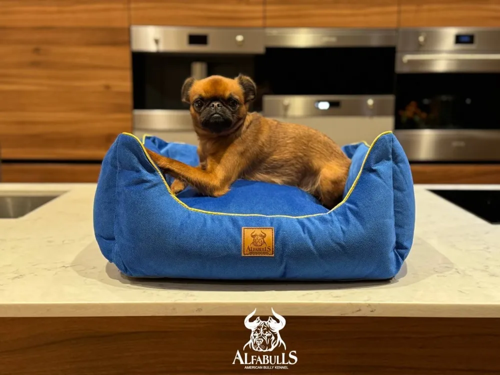 Лежанка для животных "Смарт" AlfaBulls