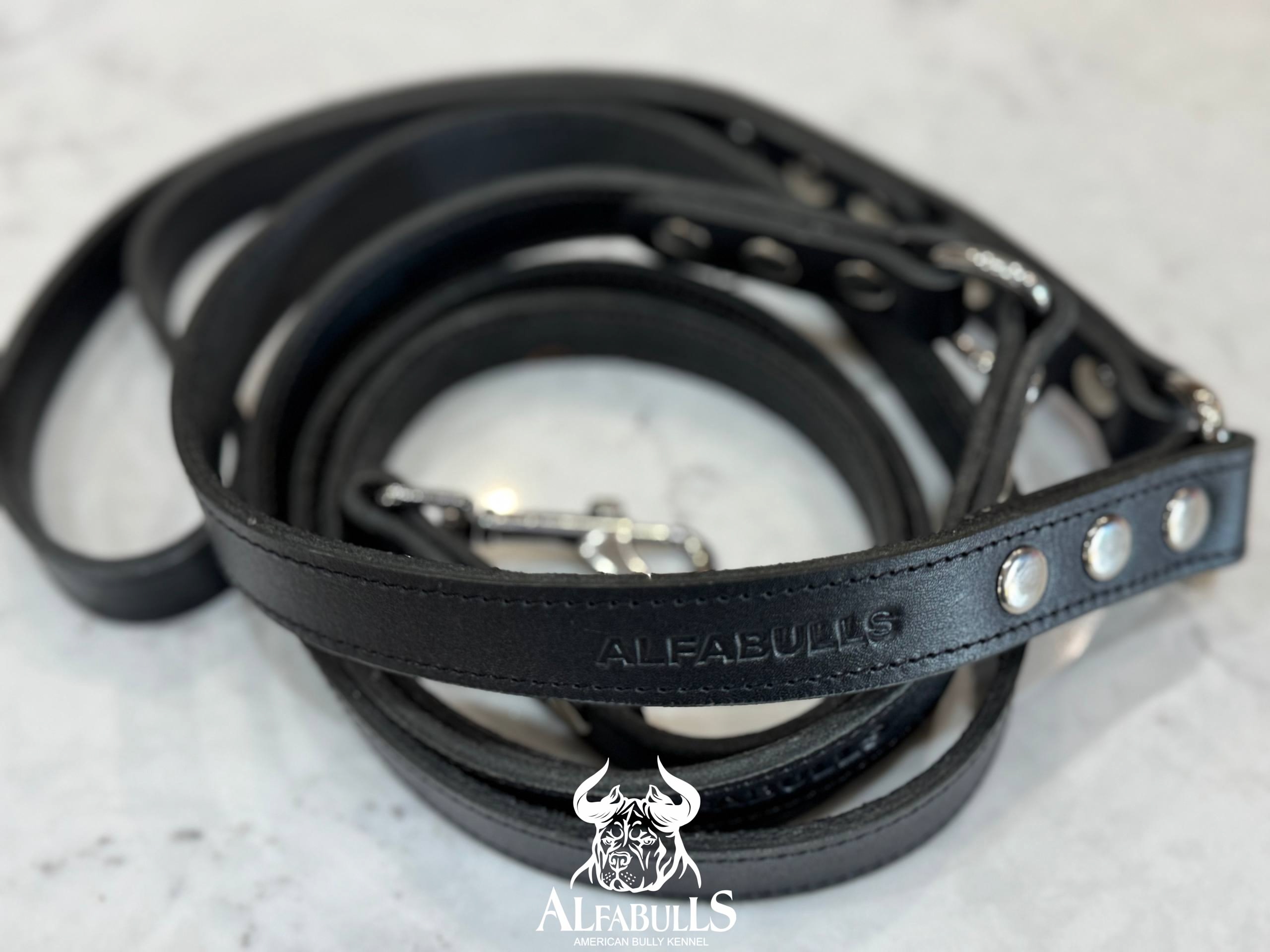 Поводок для собак из кожи (черный) AlfaBulls