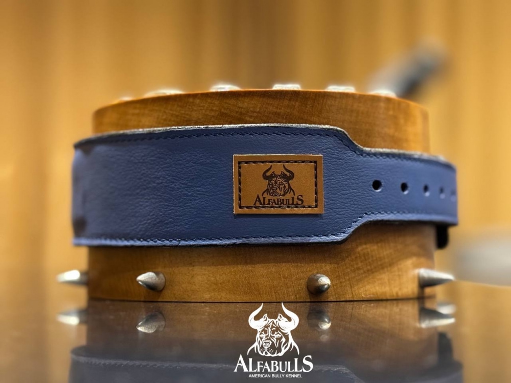 Ошейник для собак "Космический шик" AlfaBulls