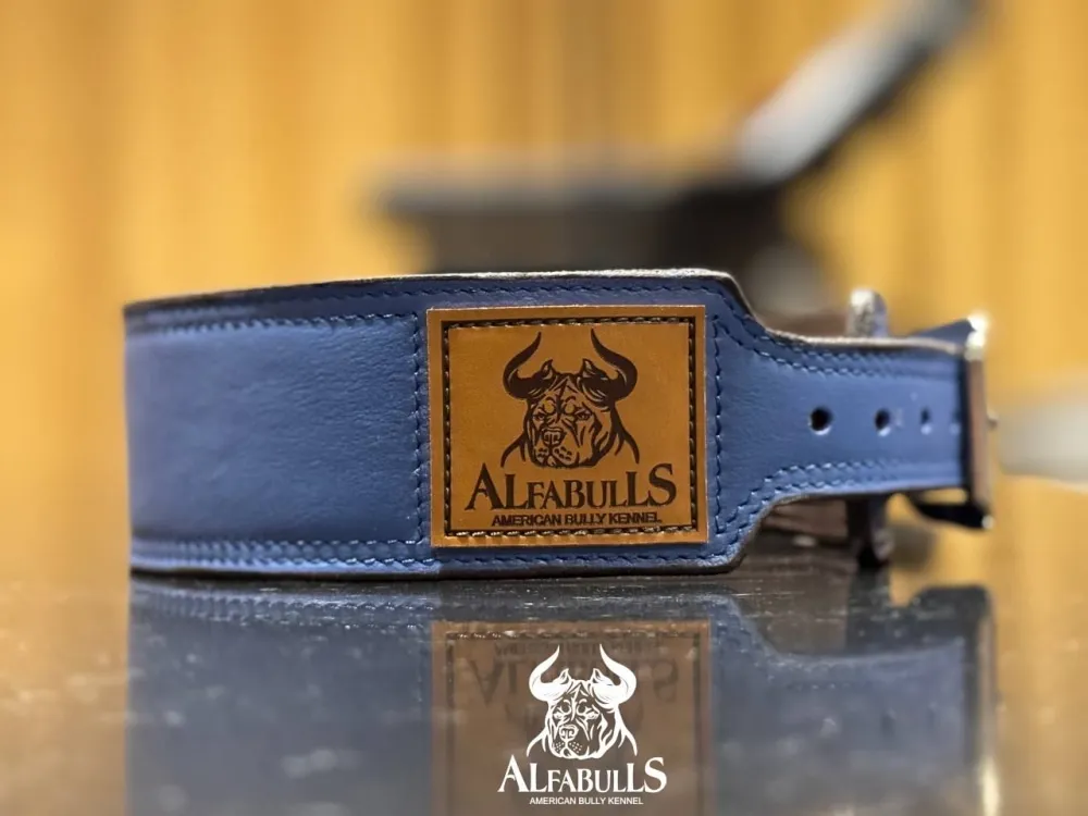 Ошейник для собак "Космический шик" AlfaBulls