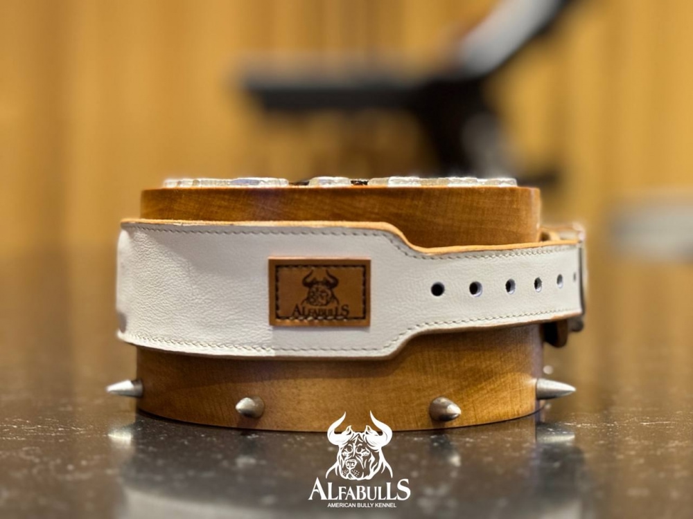 Ошейник для собак "Белый авангард" AlfaBulls